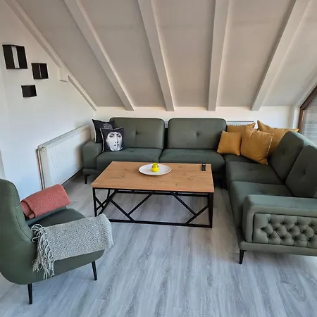 Apartman Danin's